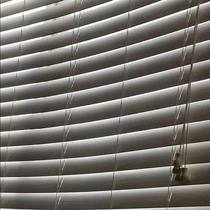 Meet your Posher, Joey